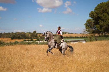 Young, beautiful Spanish woman on a brown horse in the countryside. The horse raises its front legs. She is doing dressage exercises. Thoroughbred and equine concept.