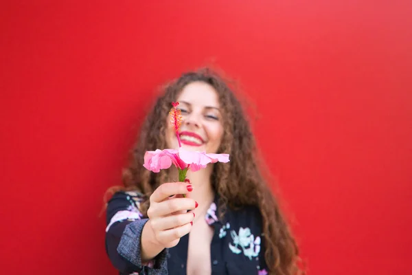 Beautiful woman, young and blonde with curly hair and blue eyes is offering a pink flower of Hawaiian scientific name inhibisco. The woman holds the flower in her hands on red background.