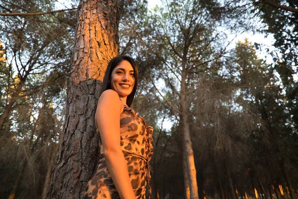 Beautiful Young Woman South America Leaning Tree Forest Golden Hour Stock Image