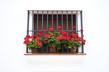 geraniums in a window in a typical mediterranean white-walled house. Holiday and travel concept