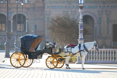 Horse carriage in seville spain for tourists. White horses and typical spanish horses. Travel and holiday concept.