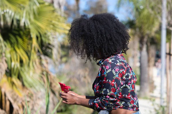 Jovem Bela Mulher Negra Com Cabelo Afro Segura Uma Flor — Fotografia de Stock