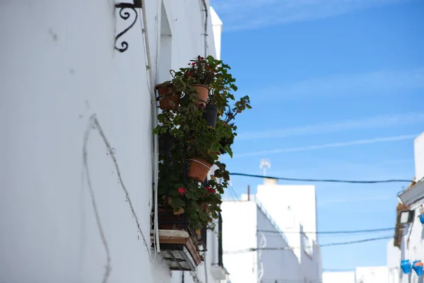 Détail Des Pots Avec Géraniums Suspendus Sur Balcon Une Maison — Photo