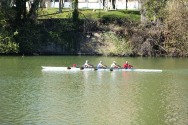 Dört adam Guadalquivir nehrinde kürek çekiyor, Seville, bir eğitim oturumunda..