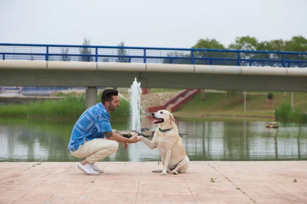 Handsome young man with beard and his Labrador retriever dog, posing for photos by a lake in the park. The man shows his affection to his pet with caresses, kisses and hugs. Concept pets.