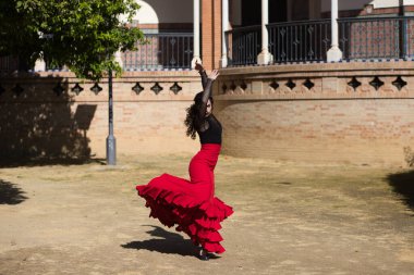 İspanya, Sevilla 'da flamenko dansı yapan güzel bir kadın. Flamenko dansçısının tipik kırmızı ve siyah bir elbisesi var. Bir sürü sanatı var. Fırfırlı elbisenin havasındaki hareketi görebilirsiniz..