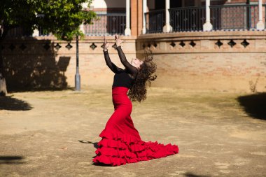 İspanya, Sevilla 'da flamenko dansı yapan güzel bir kadın. Kırmızı ve siyah bir çingene elbisesi giyiyor ve bir sürü sanatla flamenko dansı yapıyor. Arka planda kemer ve sütunlu bir anıt