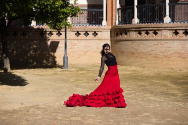 İspanya, Sevilla 'da flamenko dansı yapan güzel bir kadın. Kırmızı ve siyah bir çingene elbisesi giyiyor ve bir sürü sanatla flamenko dansı yapıyor. Arka planda kemer ve sütunlu bir anıt