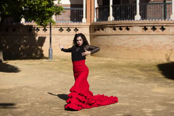 İspanya, Sevilla 'da flamenko dansı yapan güzel bir kadın. Kırmızı ve siyah bir çingene elbisesi giyiyor ve bir sürü sanatla flamenko dansı yapıyor. Arka planda kemer ve sütunlu bir anıt