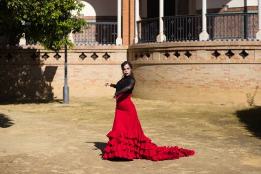 İspanya, Sevilla 'da flamenko dansı yapan güzel bir kadın. Kırmızı ve siyah bir çingene elbisesi giyiyor ve bir sürü sanatla flamenko dansı yapıyor. Arka planda kemer ve sütunlu bir anıt