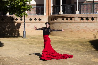 İspanya, Sevilla 'da flamenko dansı yapan güzel bir kadın. Kırmızı ve siyah bir çingene elbisesi giyiyor ve bir sürü sanatla flamenko dansı yapıyor. Arka planda kemer ve sütunlu bir anıt