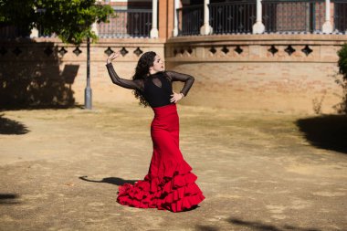 İspanya, Sevilla 'da flamenko dansı yapan güzel bir kadın. Kırmızı ve siyah bir çingene elbisesi giyiyor ve bir sürü sanatla flamenko dansı yapıyor. Arka planda kemer ve sütunlu bir anıt