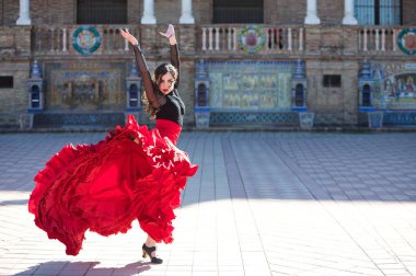 İspanya, Seville 'de bir meydanda flamenko dansı yapan güzel bir kadın. Tipik bir kırmızı ve siyah çingene elbisesi giyiyor ve bir sürü sanatla flamenko dansı yapıyor. Flamenko, insanlığın kültürel mirası.
