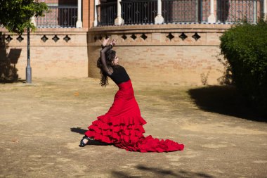 İspanya, Sevilla 'da flamenko dansı yapan güzel bir kadın. Kırmızı ve siyah bir çingene elbisesi giyiyor ve bir sürü sanatla flamenko dansı yapıyor. Arka planda kemer ve sütunlu bir anıt