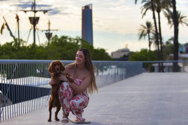 Sarışın, genç ve güzel İspanyol kadın İngiliz cocker spaniel köpeğiyle yürüyüşe çıkıyor. Kadın eğleniyor ve evcil hayvanıyla eğleniyor. 21 Temmuz, Uluslararası Köpek Günü