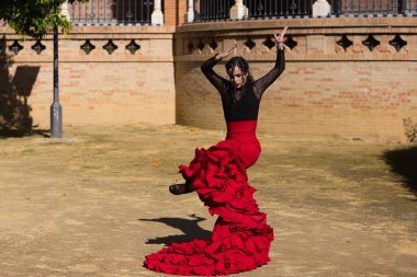 İspanya, Sevilla 'da flamenko dansı yapan güzel bir kadın. Flamenko dansçısının tipik kırmızı ve siyah bir elbisesi var. Bir sürü sanatı var. Fırfırlı elbisenin havasındaki hareketi görebilirsiniz..
