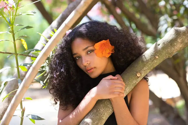 stock image portrait of a beautiful young Latin woman with large, dark eyes and curly hair. The girl wears an orange flower over her ear and clings to the trunk of the tree, the woman looks serene and peaceful