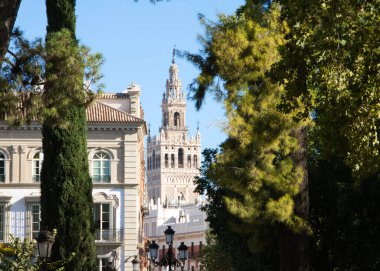 Seville, İspanya 'da Santa Maria Katedrali' nin Giralda çan kulesinin panoramik fotoğrafı. Dünya mirası anıtları kavramı