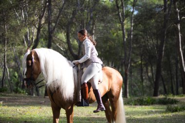 Binici bir kadın, genç ve güzel, safkan kahverengi atına biniyor ya da iniyor sarı yeleli ve kuyruklu. Kadın ormandaki ağaçların arasında. Ata duyulan sevgi kavramı