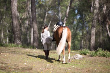 Genç ve güzel bir binici kadın dizginleri elinde tutuyor ve safkan kahverengi atıyla bir çam ormanında yürüyor. Kadın çok mutlu. Fotoğraf arkadan çekilmiş..
