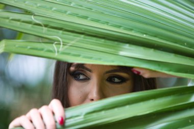 Güzel, genç esmer kadın elinde bir palmiye yaprağı tutuyor ve ona bakıyor. Kadın, İspanyol bir kadının büyük siyah gözleriyle çok anlamlı. Güzellik ve moda