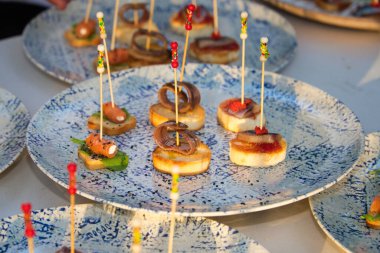 Farklı aromalı kanepeler, balıklar, deniz ürünleri, jambon, et, sebzeler yemek servisine hazır.