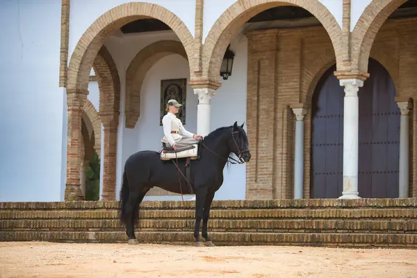 İspanya 'nın Endülüs şehrinde düzenlenen popüler festivalde safkan bir İspanyol siyah atına binen genç ve güzel bir kadın. Kadın tipik bir atlı kadın kostümü giyiyor. Arka planda inziva yeri var.
