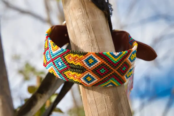 Hayvanları koruma ve evlat edinme kampanyası için ahşap bir kütüğe bağlı renkli köpek tasması