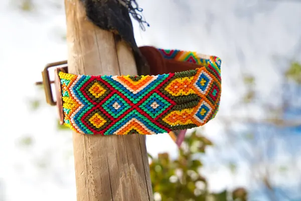 Hayvanları koruma ve evlat edinme kampanyası için ahşap bir kütüğe bağlı renkli köpek tasması