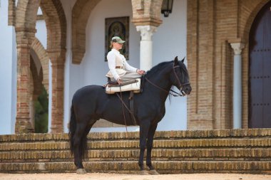 İspanya 'nın Endülüs şehrinde düzenlenen popüler festivalde safkan bir İspanyol siyah atına binen genç ve güzel bir kadın. Kadın tipik bir atlı kadın kostümü giyiyor. Arka planda inziva yeri var.