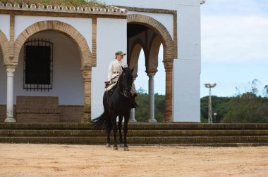 İspanya 'nın Endülüs şehrinde düzenlenen popüler festivalde safkan bir İspanyol siyah atına binen genç ve güzel bir kadın. Kadın tipik bir atlı kadın kostümü giyiyor. Arka planda inziva yeri var.