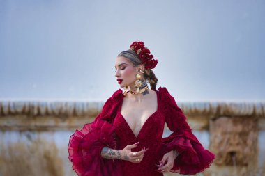 İspanya, Seville 'de bir meydanda flamenko dansı yapan güzel bir kadın. Fırfırlı kırmızı bir elbise giyiyor ve büyük bir sanatla flamenko dansı yapıyor. Flamenko, insanlığın kültürel mirası.