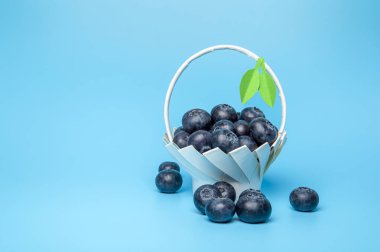 Mavi arka planda yeşil yapraklı ev yapımı beyaz bir sepetteki taze çiğ yaban mersini..