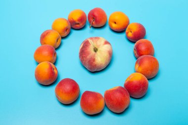 Çemberde taze, olgun kayısılar ve ortasında mavi bir şeftali var..