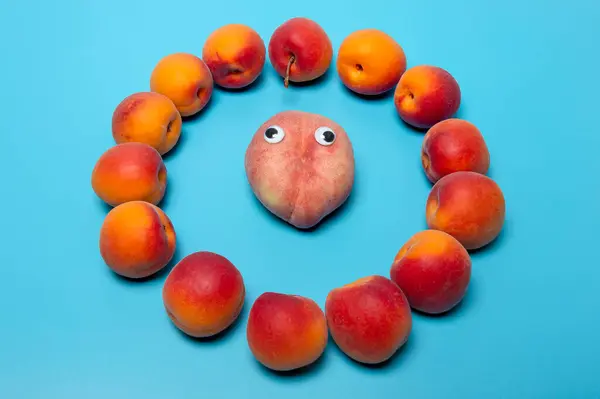 stock image Funny face made of flat peach and apricots around on blue background