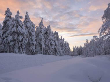 Karlı kış manzarasında yol, Laponya, Finlandiya.