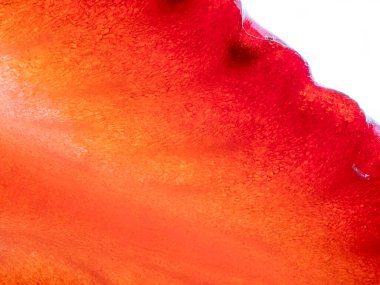 Beyaz arka planda çilek dilimi dokusu. Yakın plan..