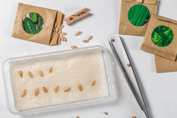 Beyaz arka planda salatalık tohumları ekiyorum. Üst Manzara. Tohum paketleri. Bahçıvanlık sezonuna hazırlanıyorum..