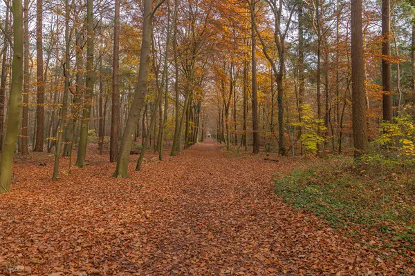 Halka açık şarj istasyonunda şarj etmek için elektrikli araca bağlı şarj kablosu..