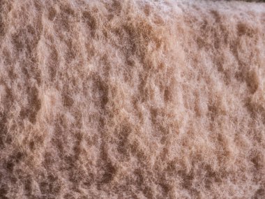 Mantar dokusu, sünger yüzeyi. Ekstrem Klose yukarı.