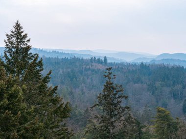 Yumuşak, bulutlu bir gökyüzü altında yaprakları dökülen ağaçların olduğu, ormanlık tepelerin katmanlarıyla sisli dağ manzarası.