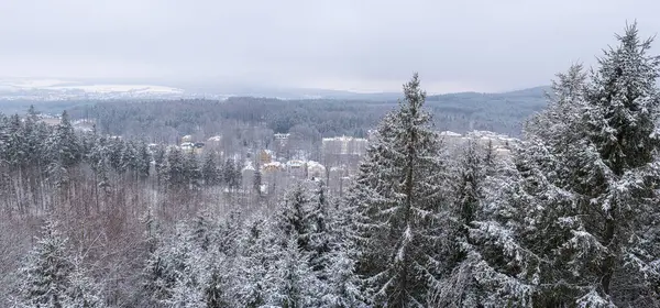Tepelerin arasında yuva yapmış küçük bir kasabaya bakan, daima yeşil ve yaprak döken ağaçlarla kaplı karla kaplı bir ormanın olduğu kış manzarası; yumuşak, bulutlu bir gökyüzü, dingin ve soğuk bir atmosfer ekliyor. Marienbad, Çek Cumhuriyeti