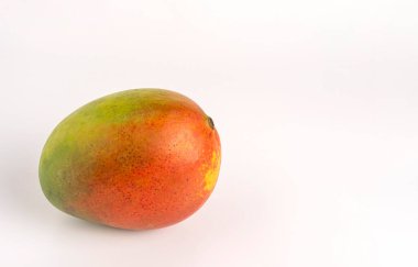 Temiz stüdyo arka planında yeşil, sarı ve kırmızı derili mango.