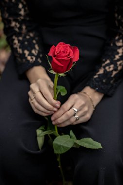 A beautiful girl getting roses for valentine's day. Girl getting roses from her love.
