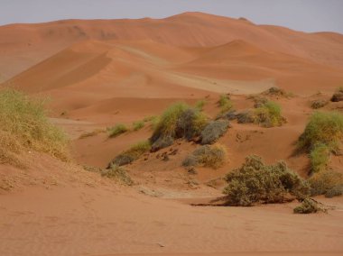 Sossusclei NP, Namibya 'da çöl manzarası