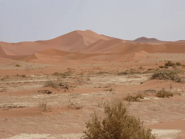 stock image Desert landscape at Sossusvlei NP, Namibia