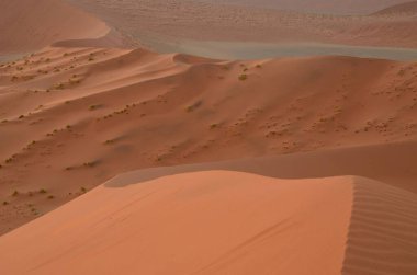 Walking on the dunes of Sossusvlei, Namibia