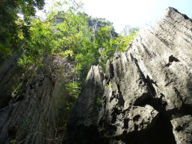 Tuhaf kireçtaşı kayaları, bacuit takımadaları, Filipinler