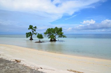 Filipinler, Siquijor Adası 'ndaki güzel plaj