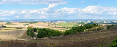 Yazın tipik Toskana manzarası, ekili tarlaları, şarap bahçeleri, selvi ağaçları ve Montepulciano ve Montalcino yakınlarındaki bir tepe ve vadi arazisindeki eski çiftlik binaları, Val d 'Orcia, İtalya